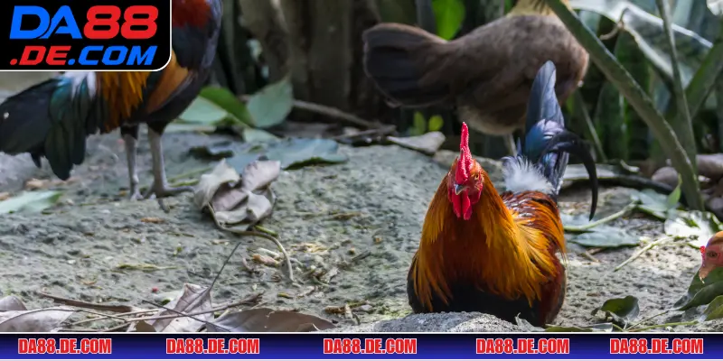 Nắm rõ thuật ngữ để làm chủ cuộc chơi